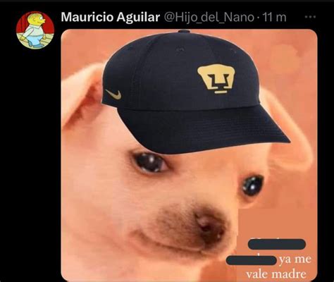 Pumas Fue Eliminado Con Humillante Goleada Estos Son Los Mejores Memes