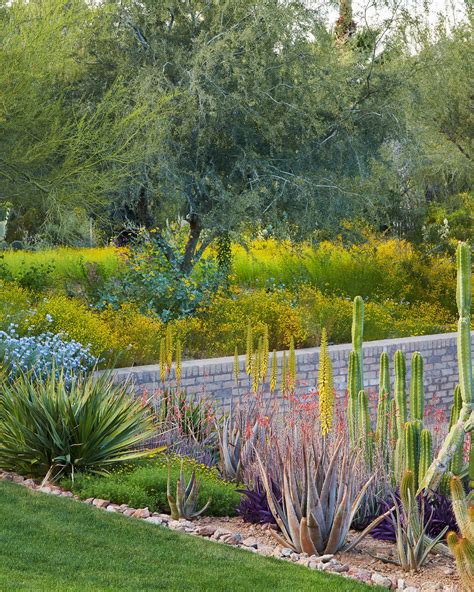 This Arizona Homes Garden Showcases The More Colorful Side Of The