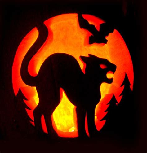 Wordpress › Error Cat Pumpkin Carving Halloween Pumpkin Carving