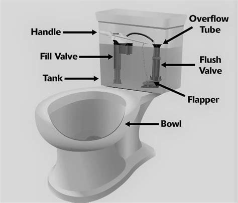 How To Change Internal Toilet Parts Reviewmotors Co