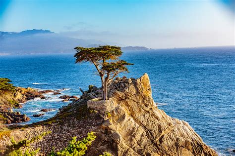 Monterey Bay Andril Fireplace Cottages