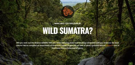 Wild Sumatra Jungle Trekking Kerinci Seblat Indonesia Ecotourism Wild Sumatra