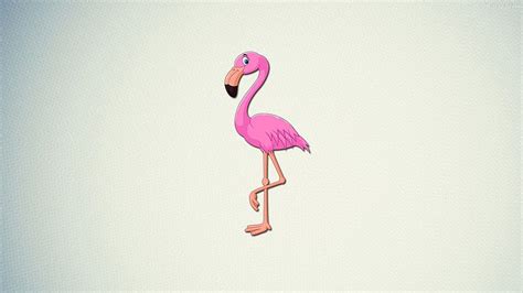 Flamingo Mrflimflam Hd Wallpaper Pxfuel