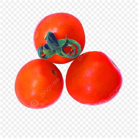 Cherry Tomatoes Clipart Hd Png Summer Fruits Fruit Cherry Tomato Red