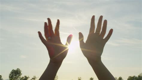 Hand Waving Silhouette White Stock Footage Video 532633 Shutterstock