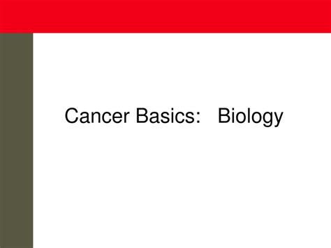 Ppt Cancer Basics Powerpoint Presentation Free Download Id1433869