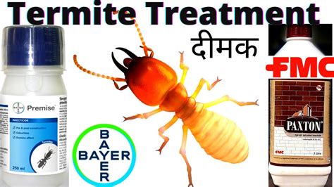 Odorless Termite Control Treatment Best Chemical For Termite