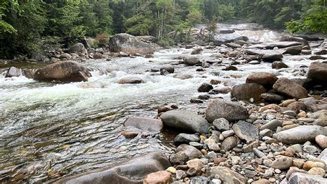 Mom Drowns While Rescuing Son At Franconia Falls New Hampshire