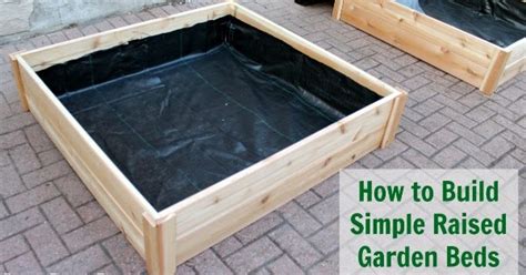 Maybe you would like to learn more about one of these? How to Build Raised Garden Boxes DIY (Grow vegetables ...