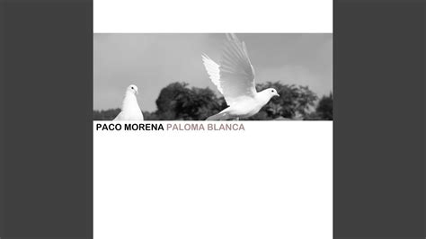 Paloma Blanca Youtube