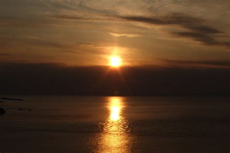 海を見ていた夕日君 〈早い春の十日 その1〉 | 猫デカメロン