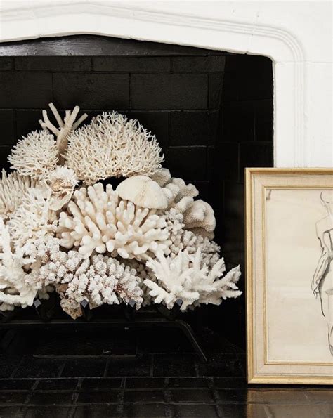 Pin By Karen Mccreary On Styling The Home Display Sea Coral Decor