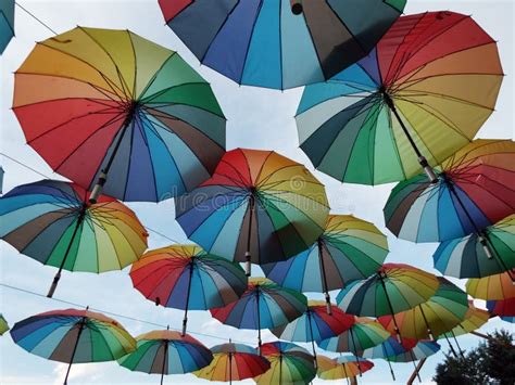 Colorful Umbrellas Stock Photo Image Of Decor Holiday 43215472