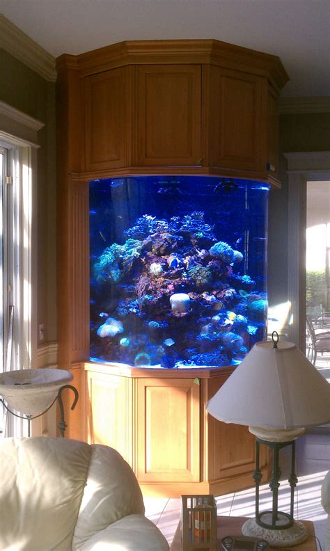 Custom Fish Tank Cabinetry Saltwater Aquarium Setup Coral Aquarium
