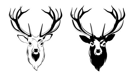 Deer Head Png Picture Png Svg Clip Art For Web Download Clip Art