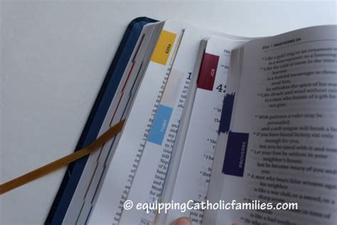 Review The Great Adventure Catholic Bible Equipping Catholic Families