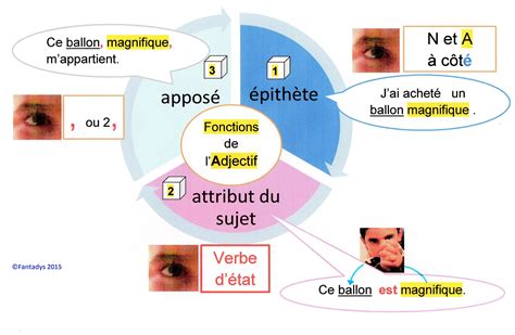 Fonctions De L Adjectif Pith Te Attribut Du Sujet Appos Memo