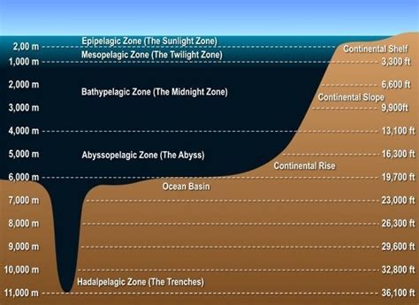 Mariana trench depth