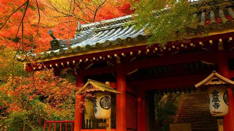 🥇 Japan Autumn Houses Trees Wallpaper 51027