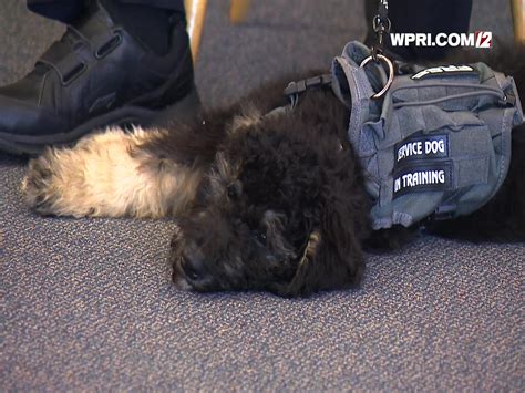 #WATCH: Rosie was sworn in as the New Bedford Police Department's first