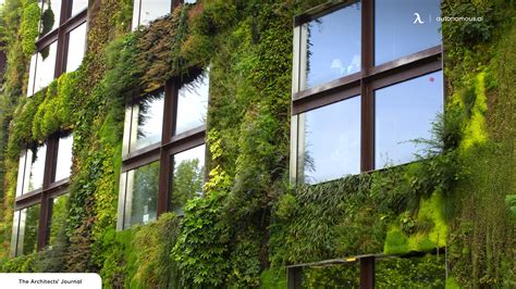 Sustainable Office Design Tips Create A Green Workplace Today