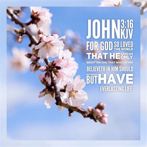 John 316 Kjv For God So Loved The World That He Gave His Only