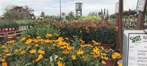 Green Acres Nursery And Supply