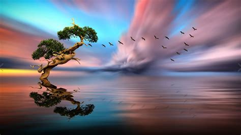 Solitary Tree Lake Birds In Flight Red Cloud Sunset Reflection In