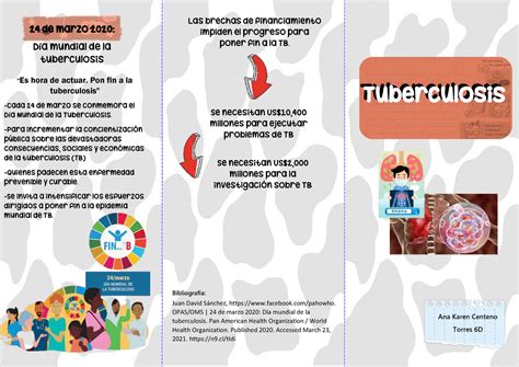 Triptico De La Tuberculosis Tuberculosis Que Es La Tuberculosis Es