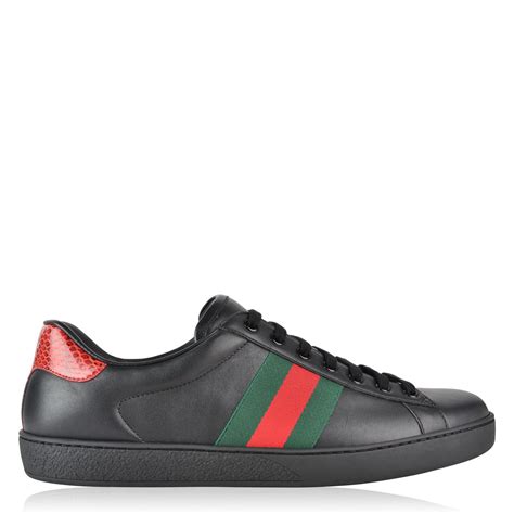 Gucci New Ace Web Trainers