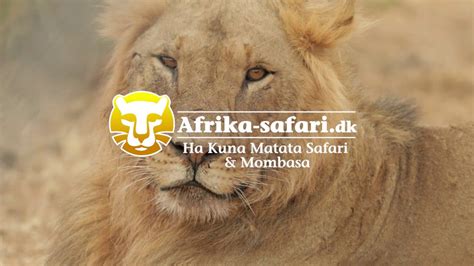 Ha Kuna Matata Safari And Mombasa Afrika Safaridk Youtube
