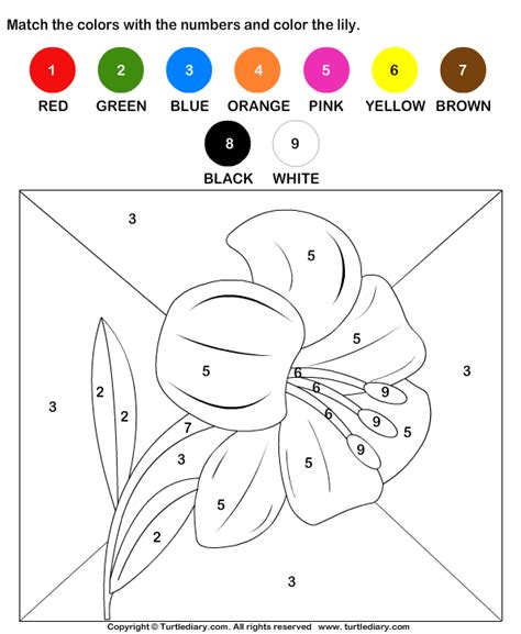 Color By Matching With Numbers Worksheet Turtle Diary