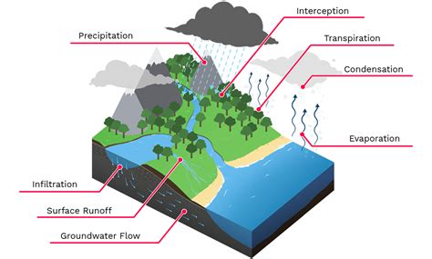 Water Cycle Diagram Labeled With Infiltration