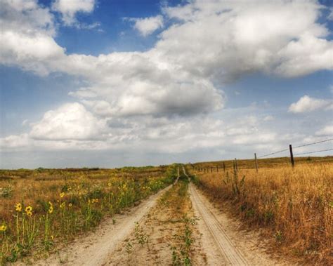 Items Similar To Pasture Road Fine Art Photograph On Etsy