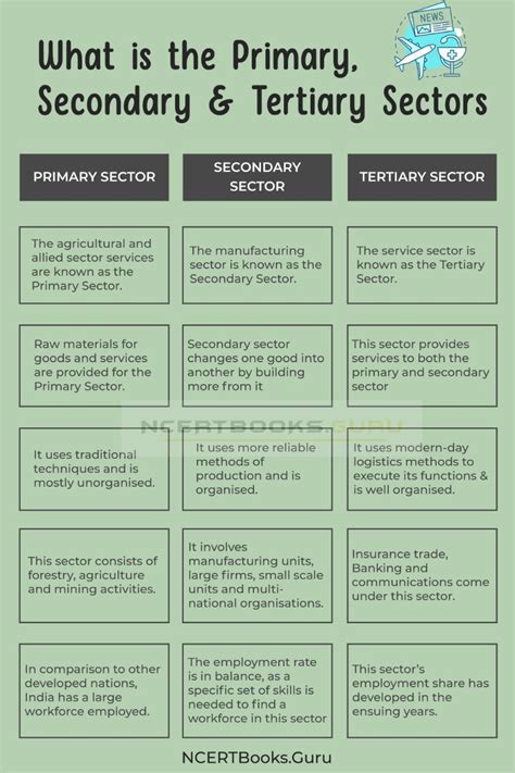 Difference Between Primary Secondary And Tertiary Sectors And Their Comparisons Ncert Books