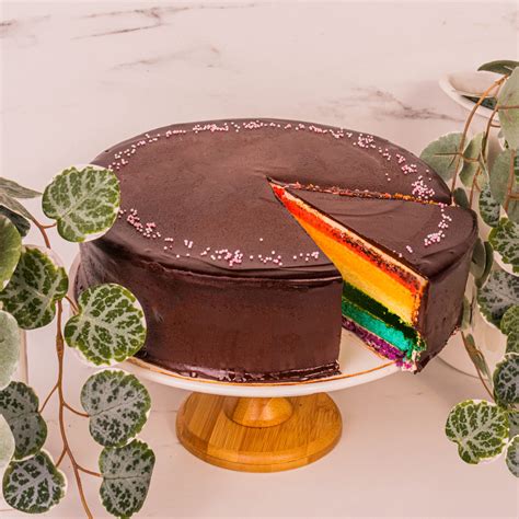 Chocolate Rainbow Cake Singapore Cake Jur