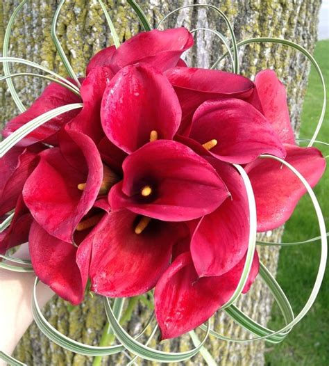 Maybe you would like to learn more about one of these? Kittelberger Florist- Rochester NY area Wedding Florist ...