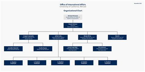 Organizational Chart Office Of International Affairs