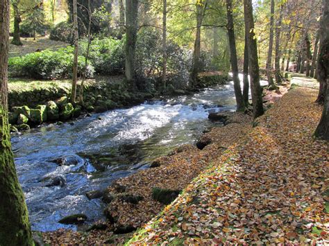 Profiteer van geweldige aanbiedingen voor accommodatie. Herbst in Bad Wildbad | mmth.de – bei Marion und Matthias ...