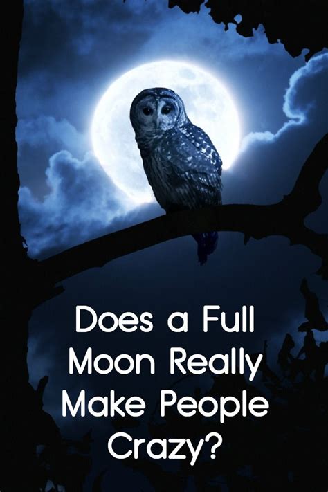 Does A Full Moon Really Make People Crazy Full Moon Quotes Full