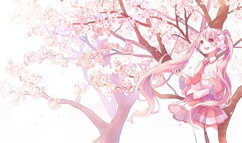 Hd Wallpaper Anime Vocaloid Sakura Miku Wallpaper Flare