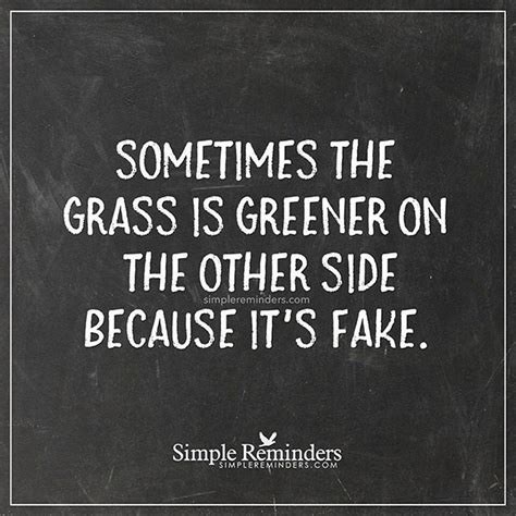 Sometimes The Grass Is Greener On The Other Side Because Its Fake I