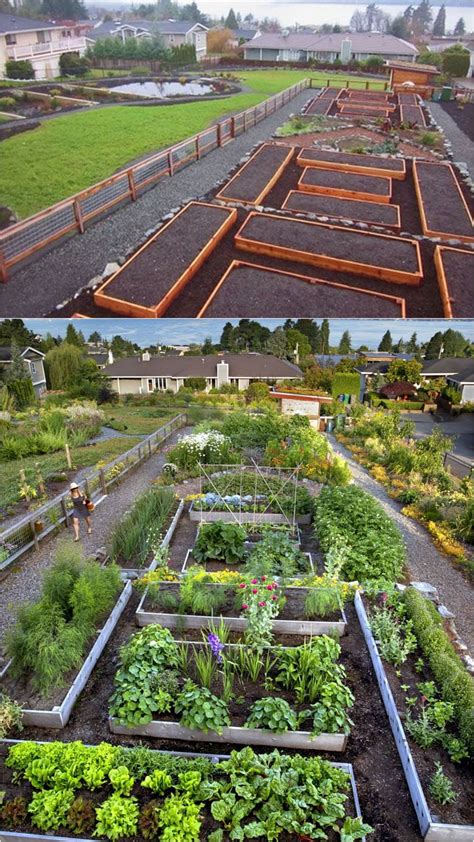 How To Design Vegetable Garden Layout