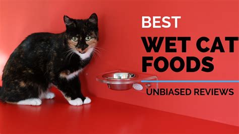 Wet cat food can also be an. 10 Best Wet Cat Foods 2020 | Best Selling - Ranking ...