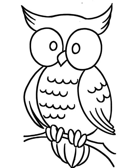 Large Eye Owl Coloring Page Download And Print Online Coloring