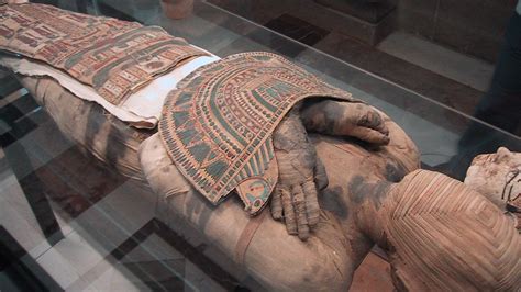 Mummies Who Owns The Dead Oer Commons