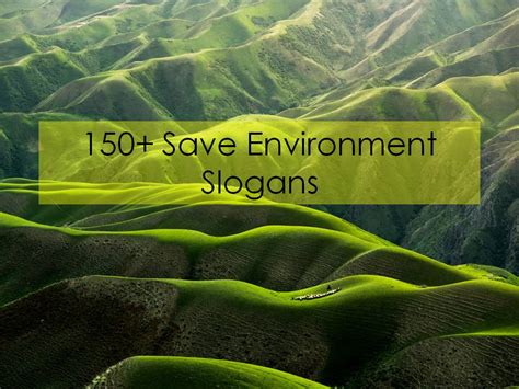 8 simple ways to help the environment. Example of slogan about environment , scopenitout.com