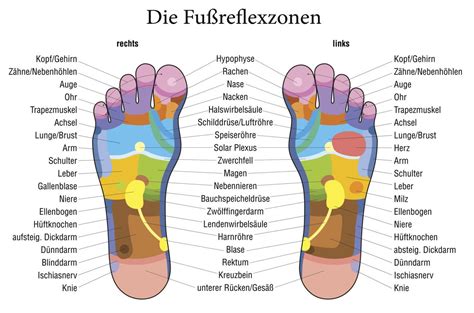 Fußreflexzonenmassage Selber Machen Anleitung