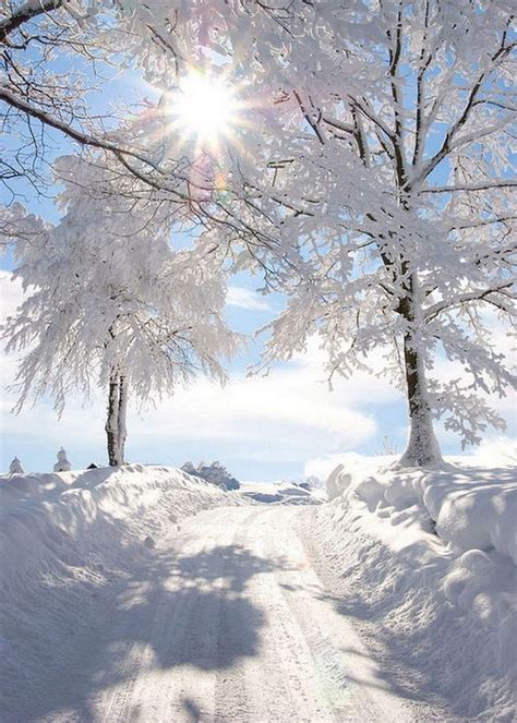 25 Best Ideas About Winter Wonderland On Pinterest Winter Snow And