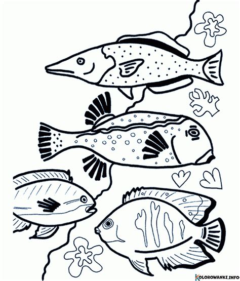 Kolorowanki Ryby Do Druku Pobierz Lub Wydrukuj Za Darmo